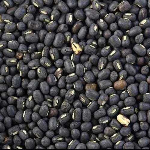 Black Chickpeas